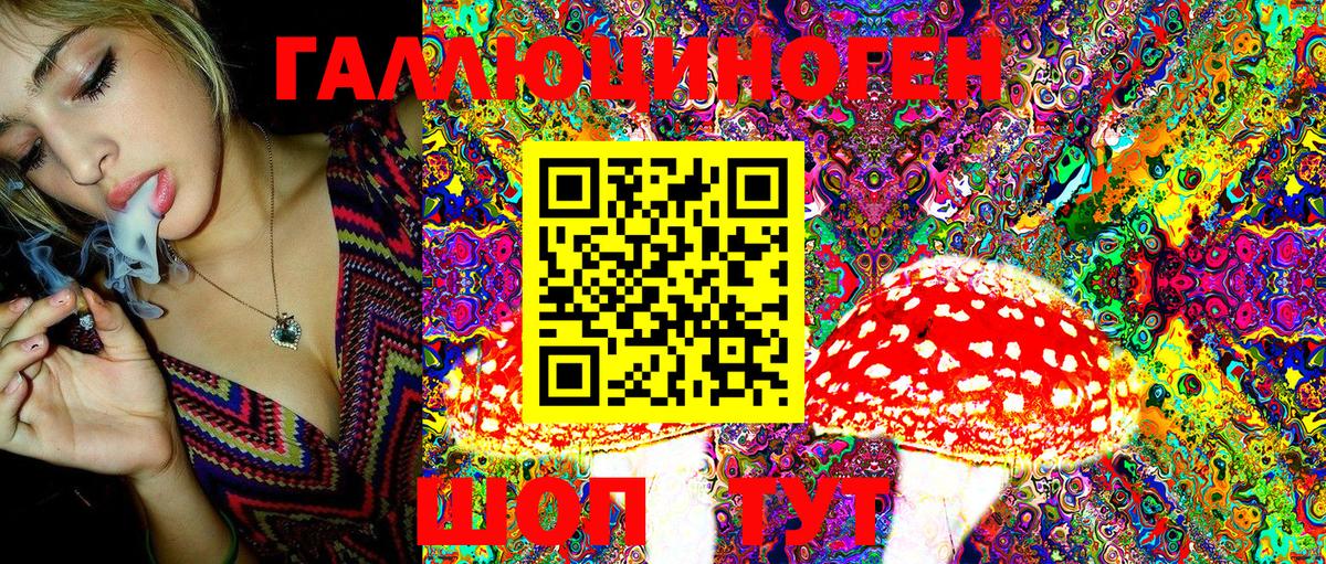 Галлюциногенные грибы Cubensis Донской